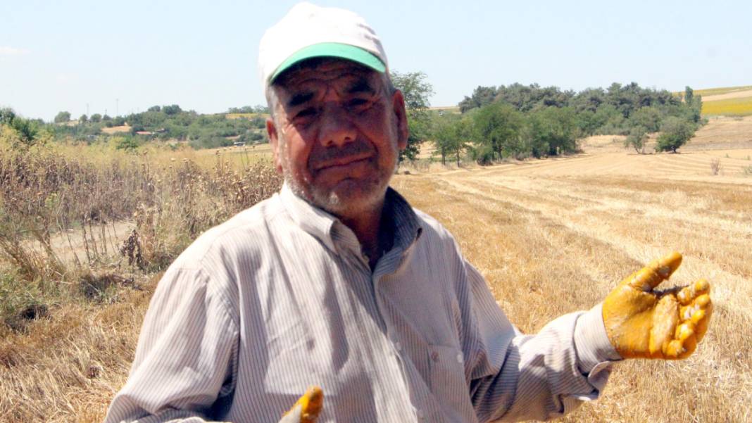 Kavurucu sıcakta 'balya' mesaisi 2